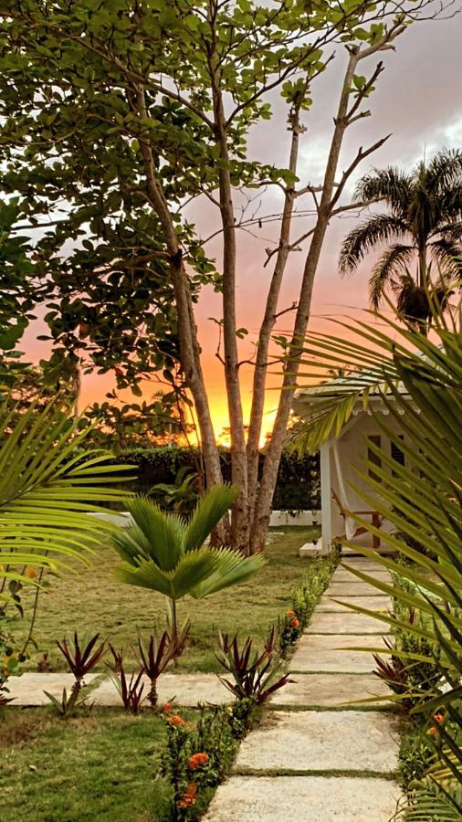 Punta Popy Boutique Hotel Las Terrenas Extérieur photo