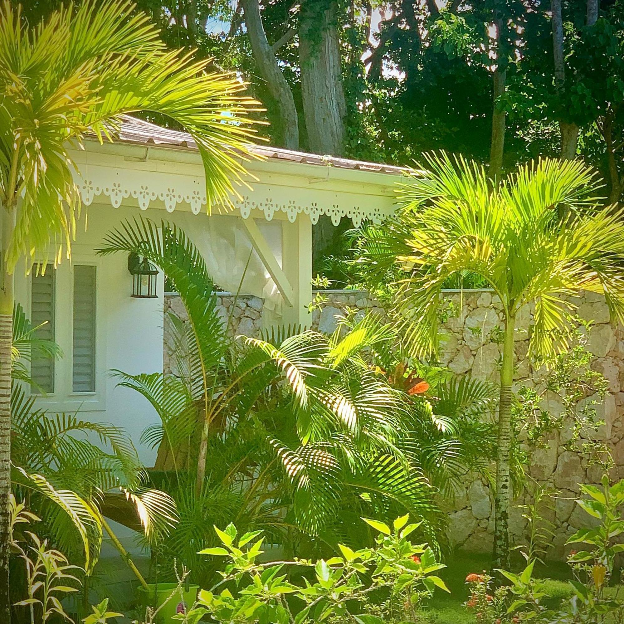 Punta Popy Boutique Hotel Las Terrenas Extérieur photo