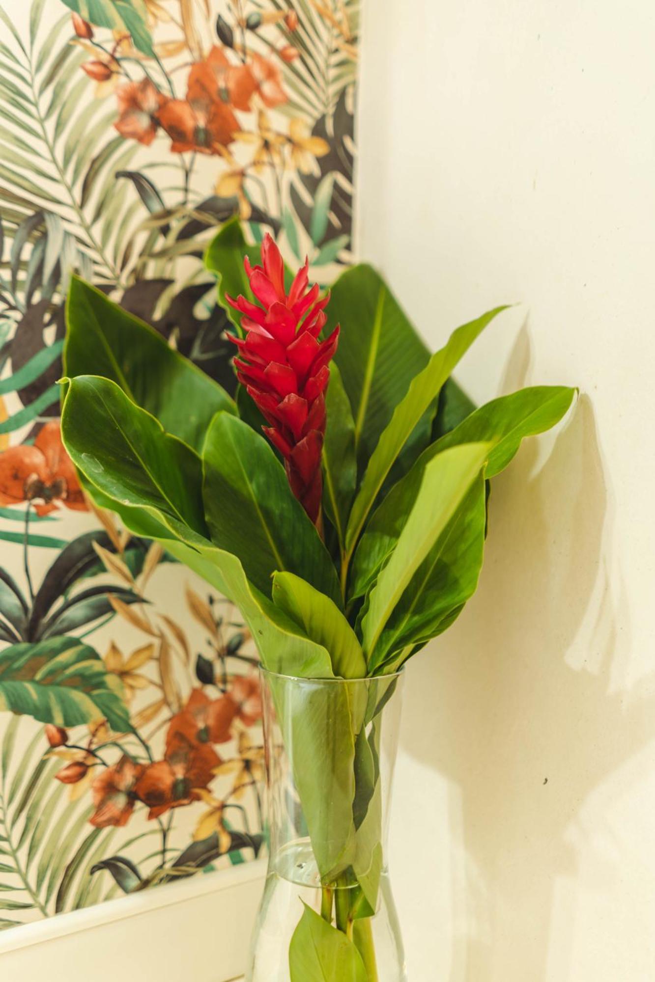 Punta Popy Boutique Hotel Las Terrenas Chambre photo